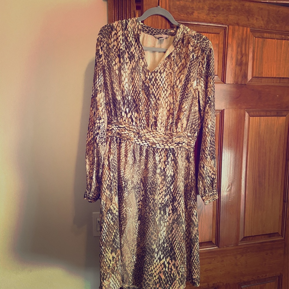 H&M snakeskin dress.